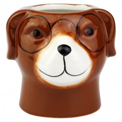 Vaso dog