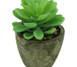 Planta Decorativa Artificial