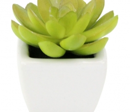 Planta decorativa artificial