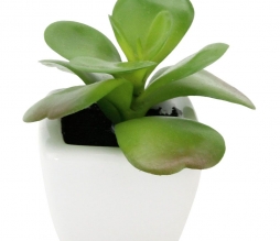 Planta decorativa artificial