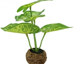 Planta decorativa artificial