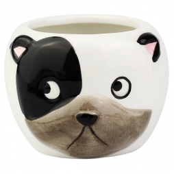 Vaso dog