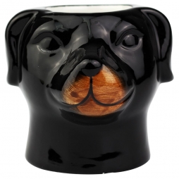 Vaso dog