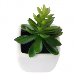 Planta Decorativa Artificial