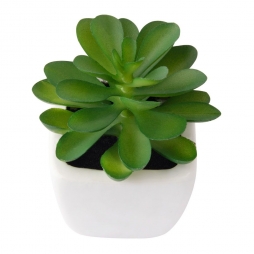 Planta Decorativa Artificial