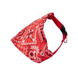 Coleira com Bandana