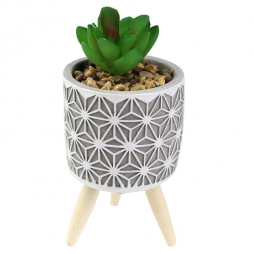 Cachepot com Planta