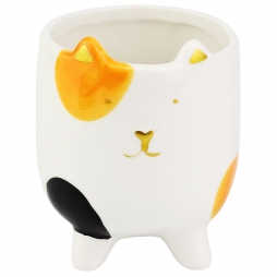 Vaso Cat