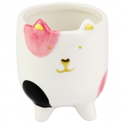 Vaso Cat