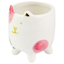 Vaso Cat