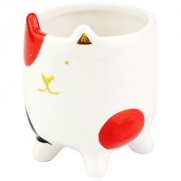 Vaso Cat