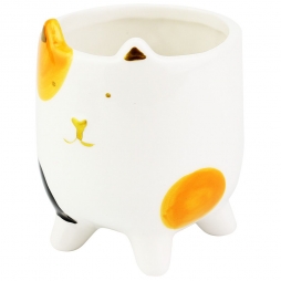 Vaso Cat